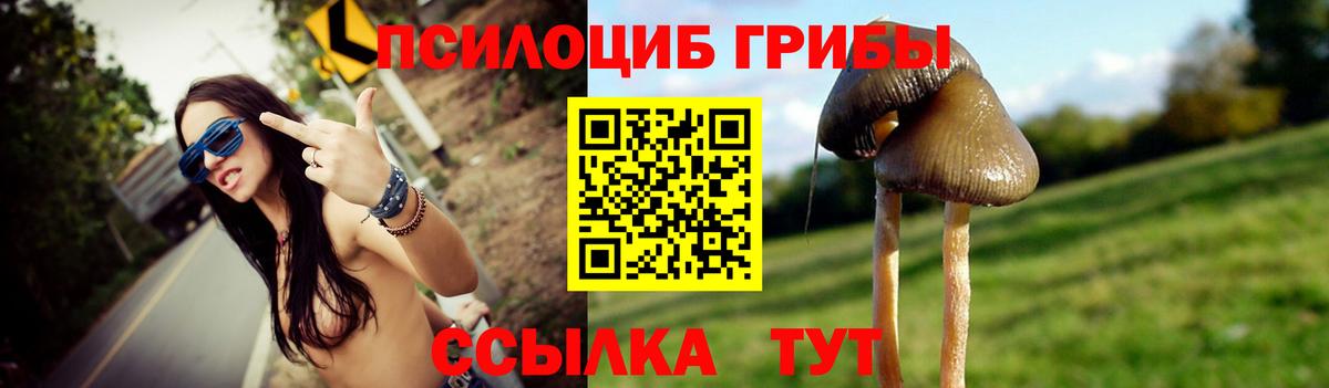 Галлюциногенные грибы прущие грибы  Вход с VPN  Псилоцибиновые грибы ЛСД  Шелехов 